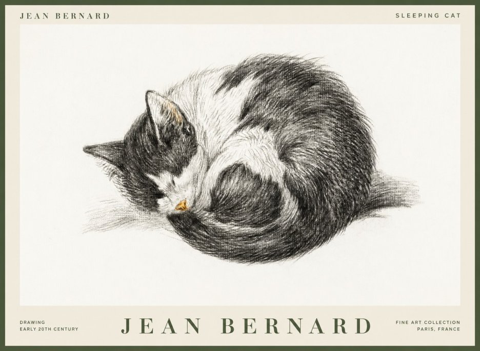 Jean Bernard Sleeping Cat VIII No1 - Plakát