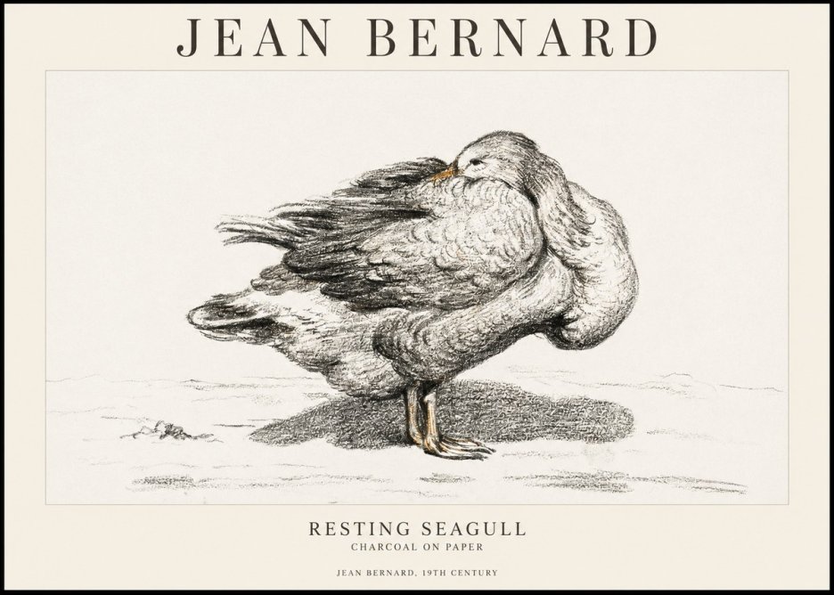 Jean Bernard Resting Seagull No1 - Plakát