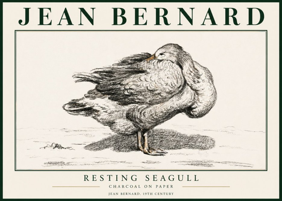 Jean Bernard Resting Seagull No3 - Plakát