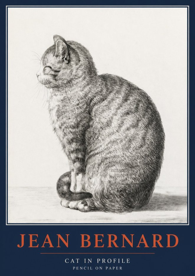 Jean Bernard Cat in Profile No2 - Plakát