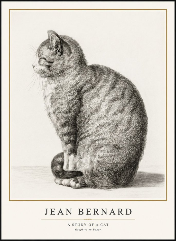 Jean Bernard Cat in Profile No3 - Plakát