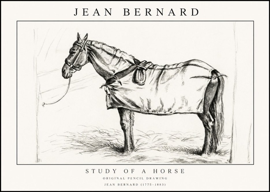 Jean Bernard Study of a Horse XI No1 - Plakát