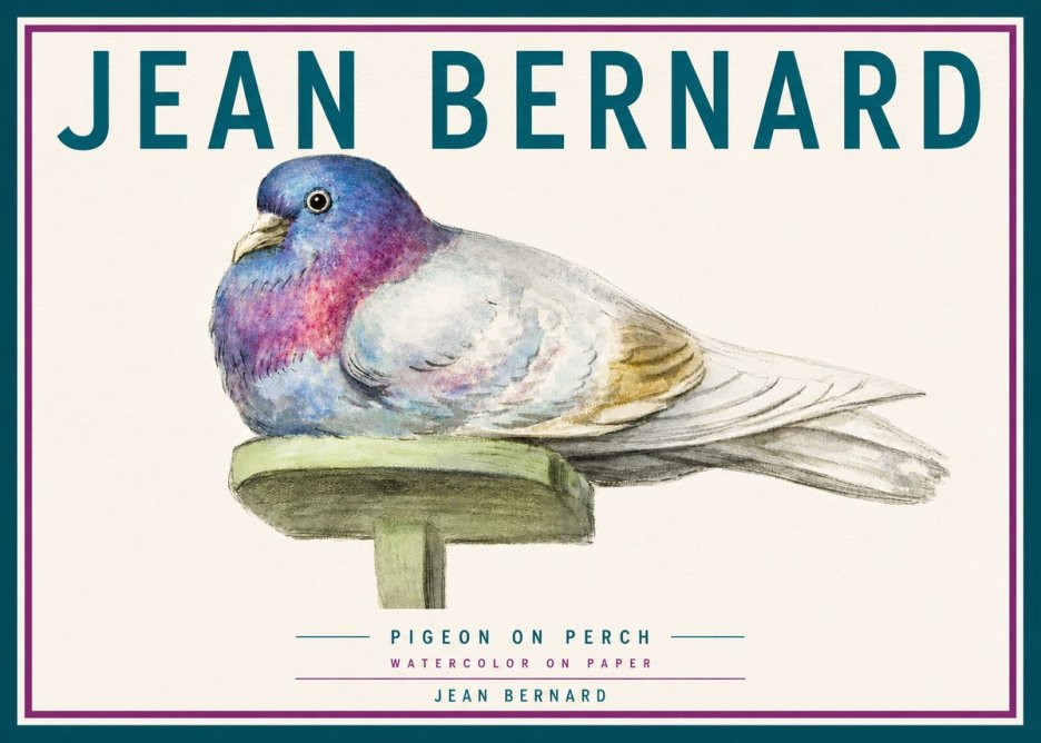 Jean Bernard Pigeon on Perch No6 - Plakát