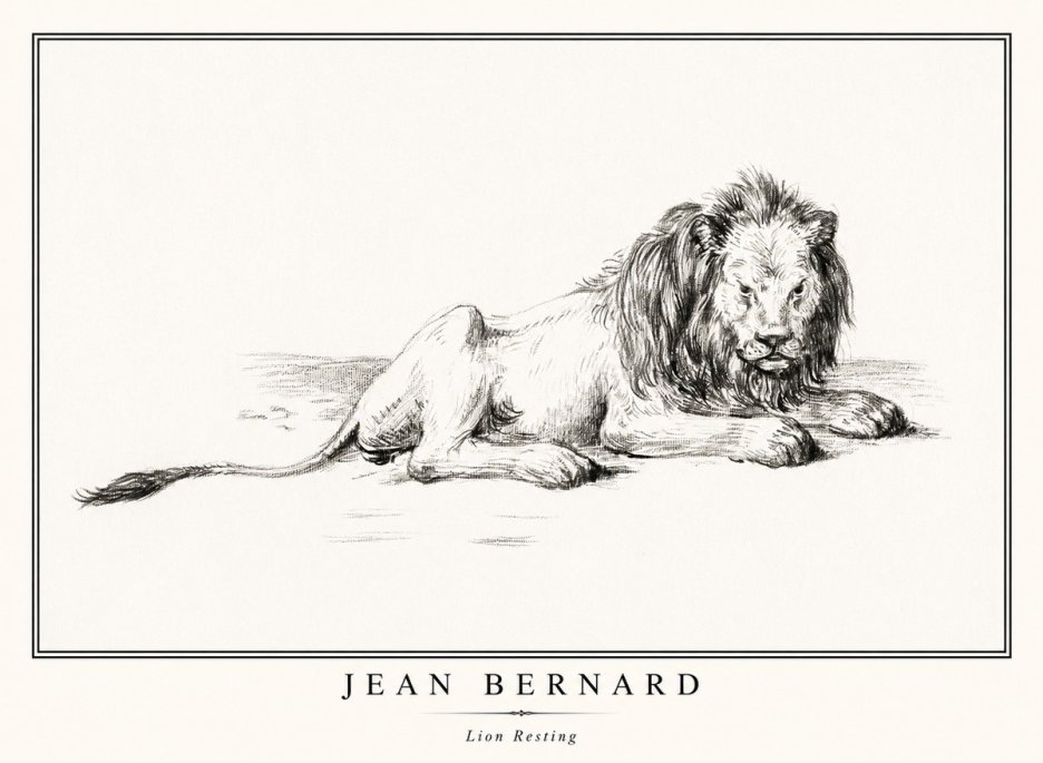Jean Bernard Lion Resting No1 - Plakát