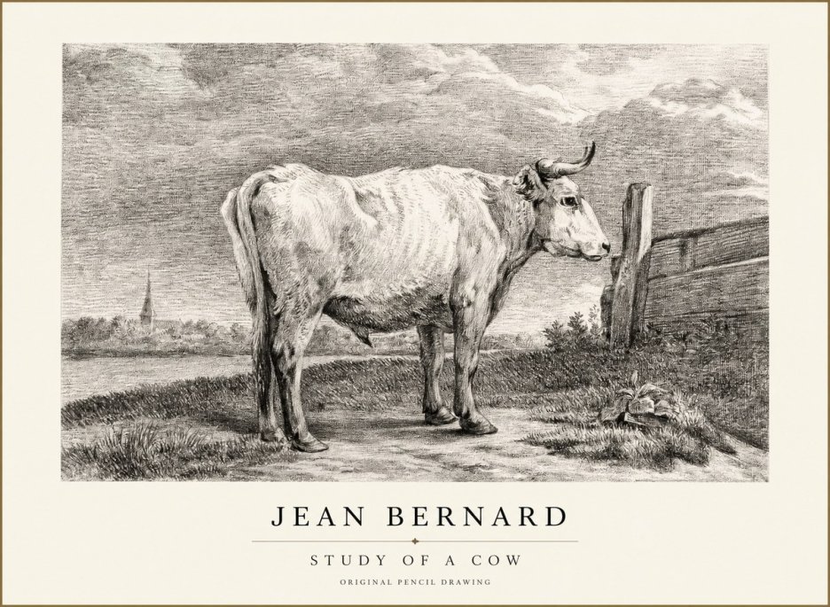 Jean Bernard Study of a Cow XV No1 - Plakát