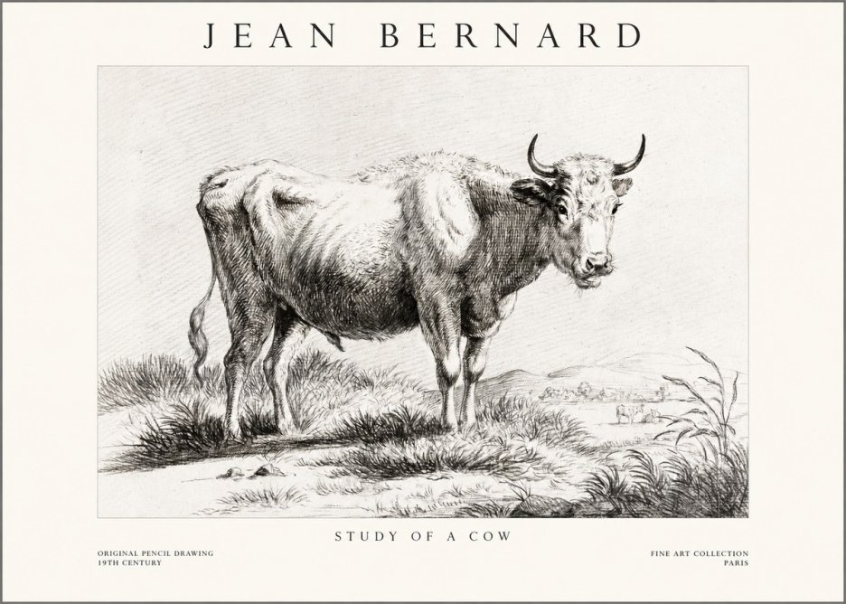 Jean Bernard Study of a Cow XVI No1 - Plakát
