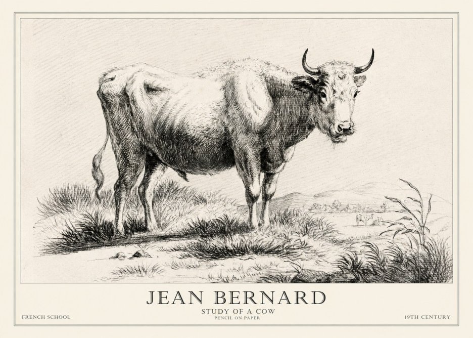 Jean Bernard Study of a Cow XVI No2 - Plakát