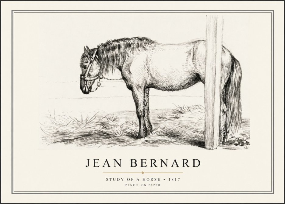 Jean Bernard Study of a Horse XII No1 - Plakát