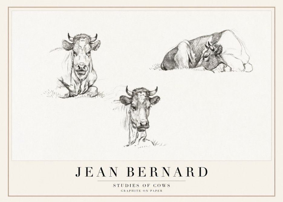 Jean Bernard Studies of Cows II No1 - Plakát