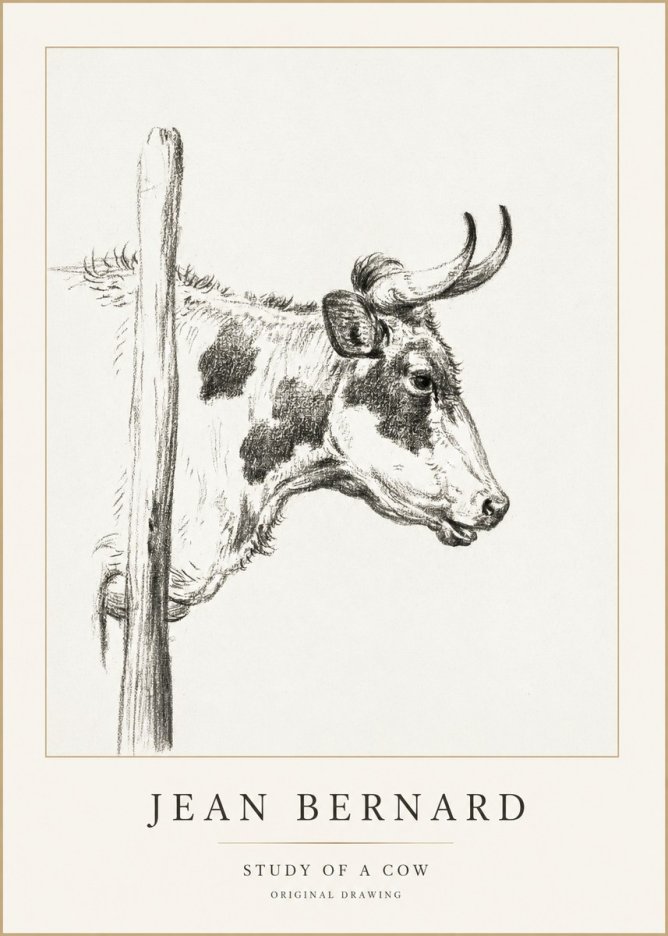 Jean Bernard Study of a Cow XVII No1 - Plakát
