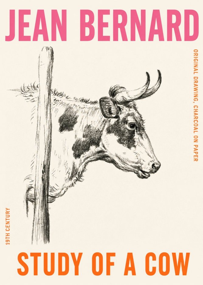 Jean Bernard Study of a Cow XVII No4 - Plakát