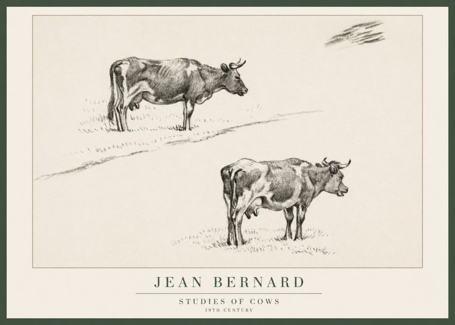 Jean Bernard Studies of Cows III No1 - Plakát