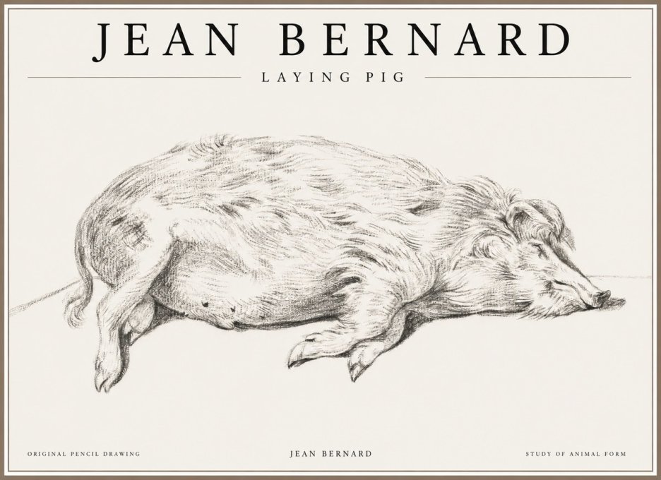 Jean Bernard Laying Pig No1 - Plakát