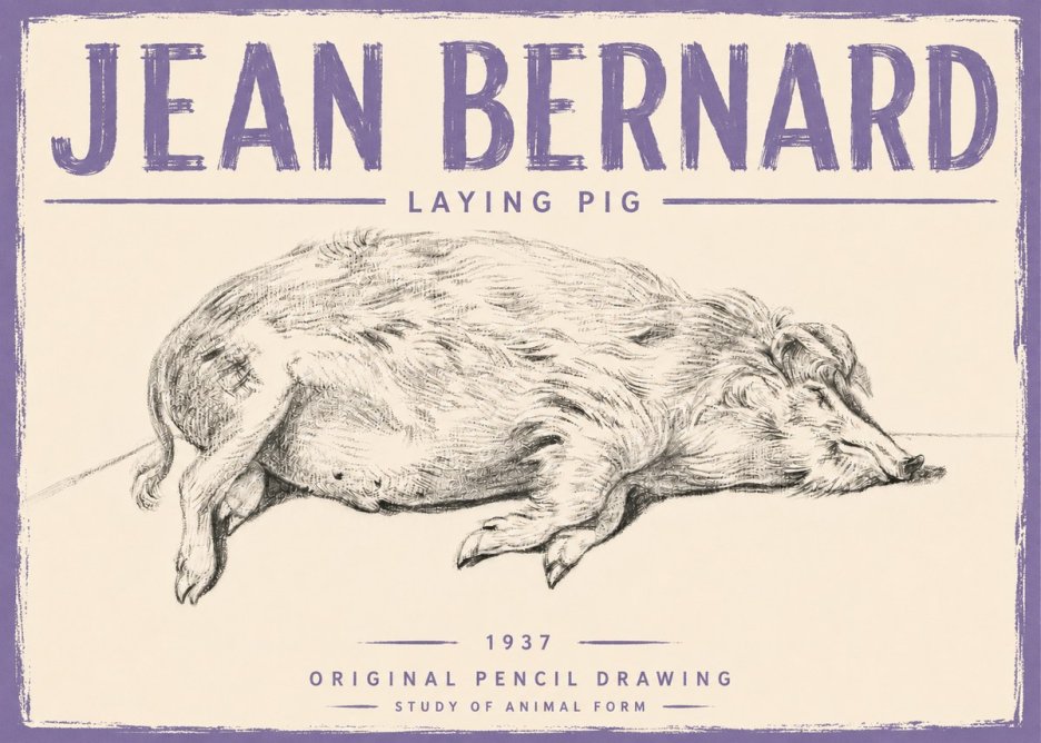 Jean Bernard Laying Pig No5 - Plakát