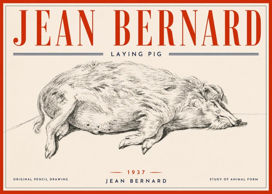 Jean Bernard Laying Pig No6 - Plakát