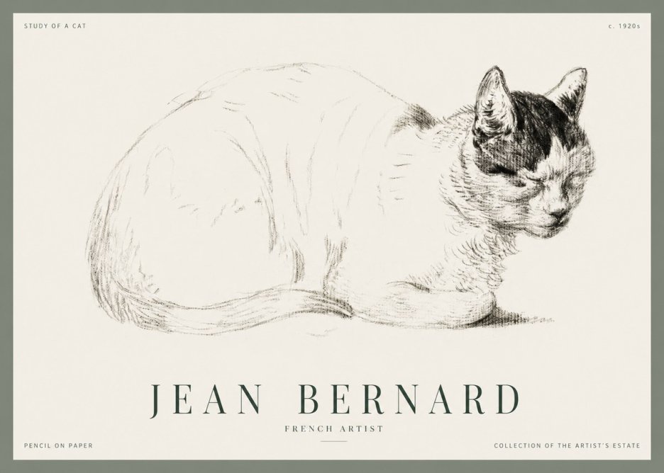 Jean Bernard Study of a Cat III No1 - Plakát