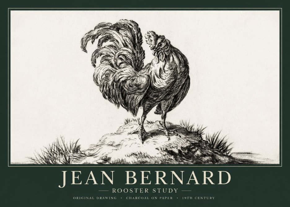Jean Bernard Study of a Rooster No2 - Plakát
