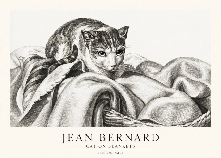 Jean Bernard Cat on a Blanket No2 - Plakát