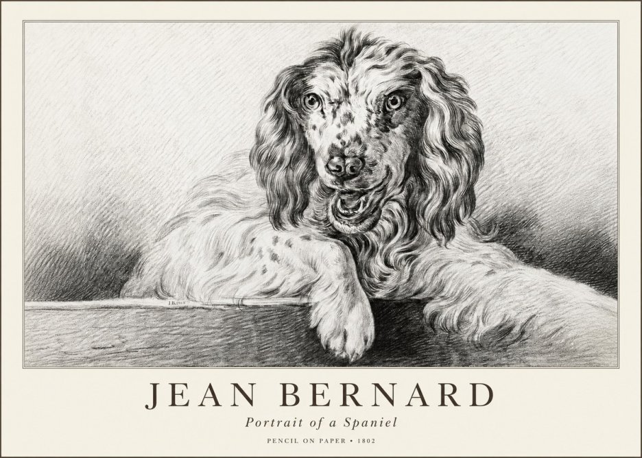 Jean Bernard Portrait of a Spaniel No1 - Plakát