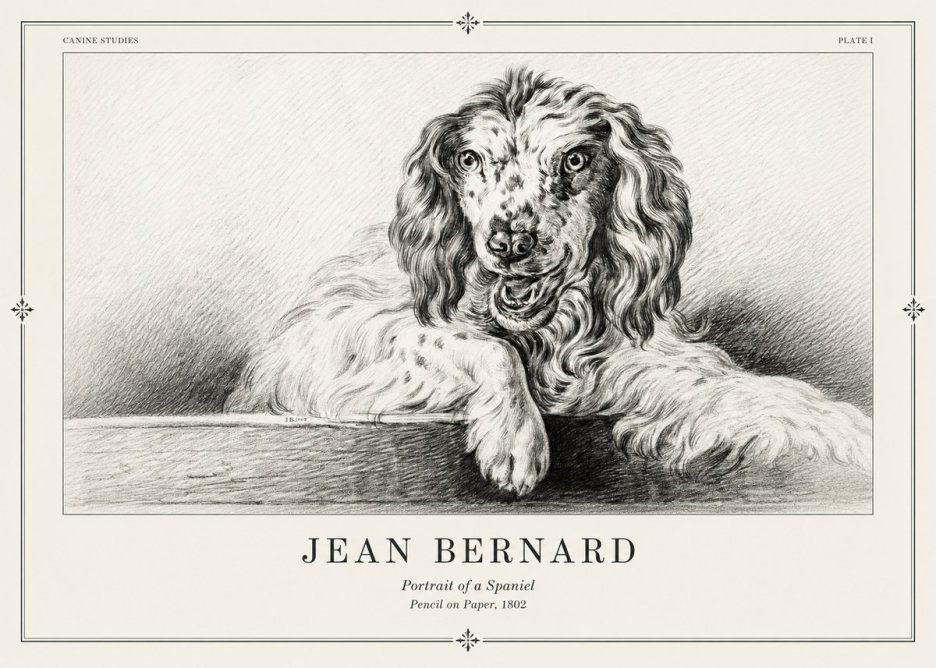 Jean Bernard Portrait of a Spaniel No2 - Plakát