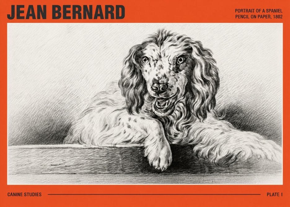 Jean Bernard Portrait of a Spaniel No3 - Plakát