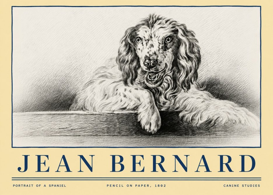Jean Bernard Portrait of a Spaniel No4 - Plakát