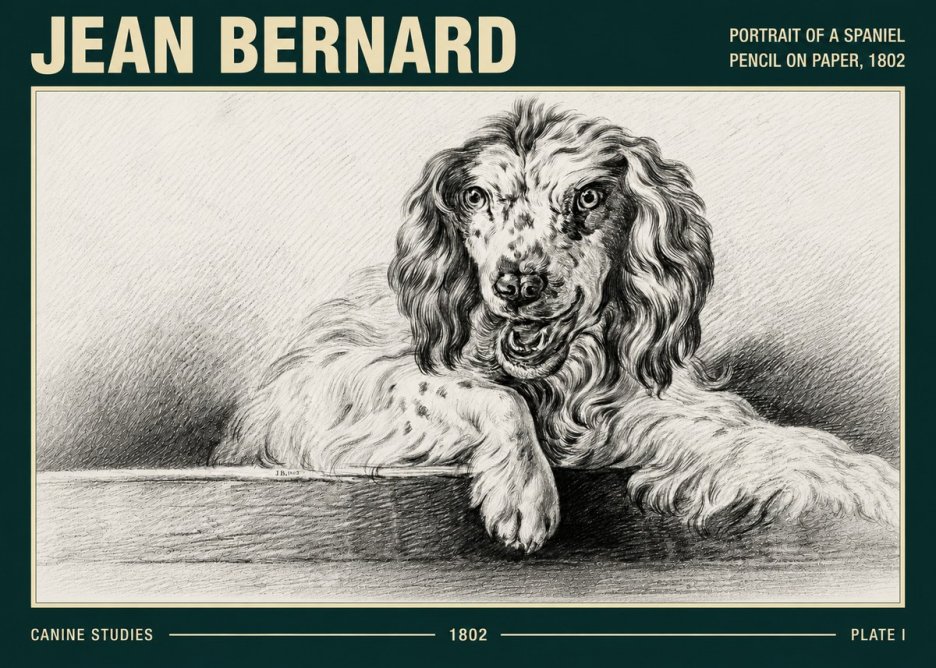 Jean Bernard Portrait of a Spaniel No5 - Plakát