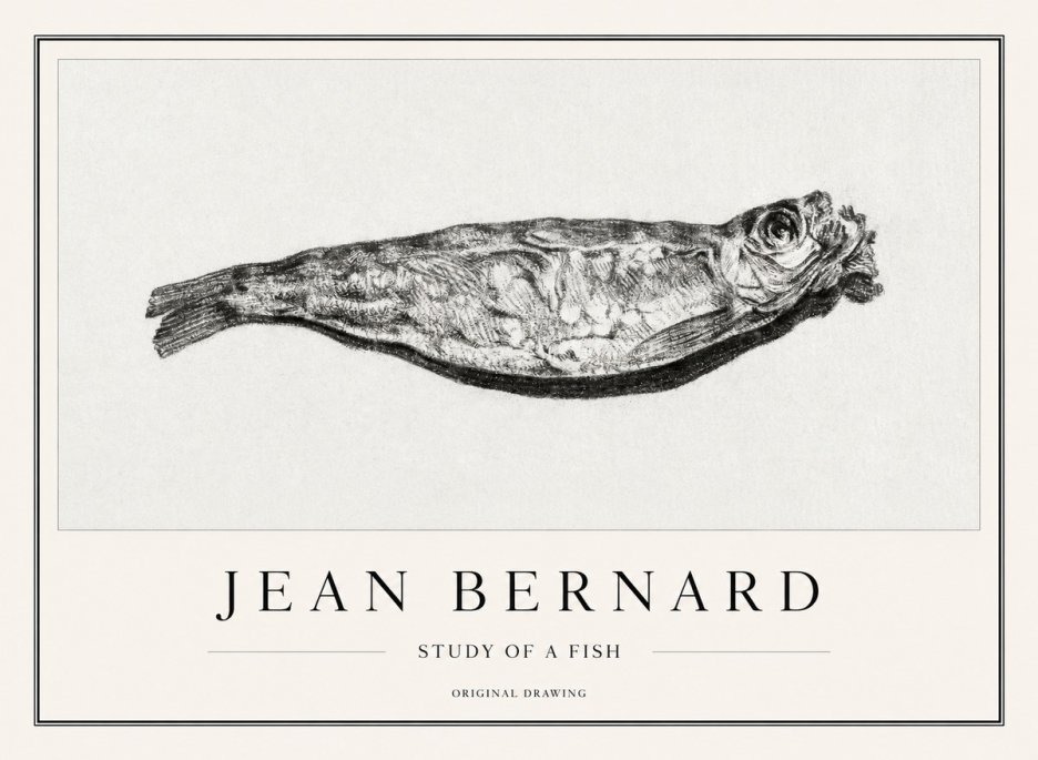 Jean Bernard Study of a Fish V No1 - Plakát