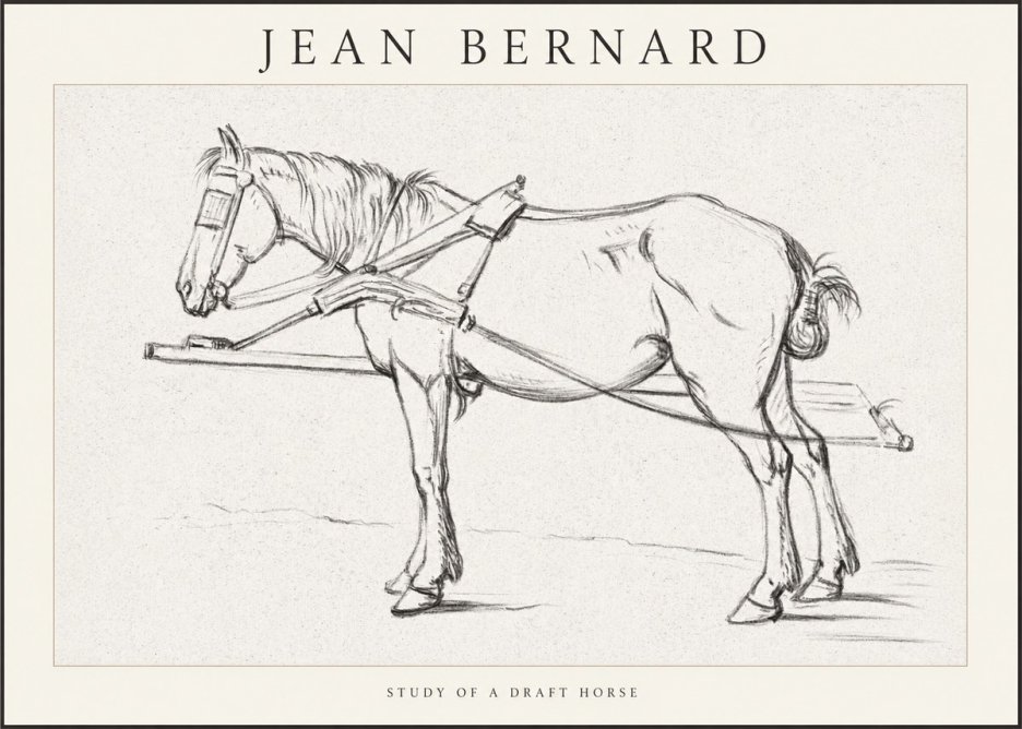 Jean Bernard Study of a Draft Horse II No1 - Plakát