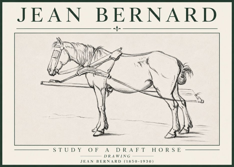 Jean Bernard Study of a Draft Horse II No4 - Plakát