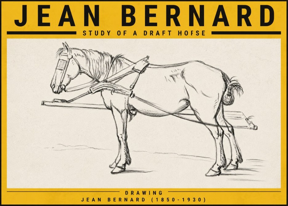 Jean Bernard Study of a Draft Horse II No5 - Plakát