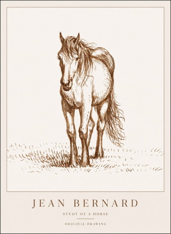 Jean Bernard Study of a Horse XV No1 - Plakát