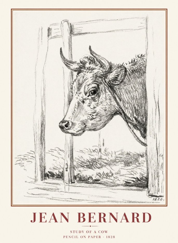 Jean Bernard Study of a Cow XVIII No1 - Plakát