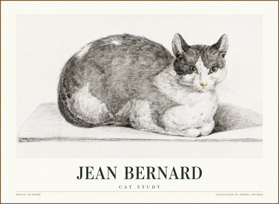 Jean Bernard Cat Study XI No1 - Plakát