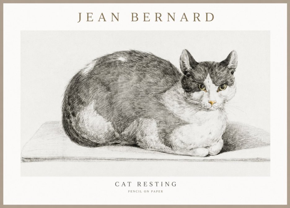 Jean Bernard Cat Study XI No3 - Plakát