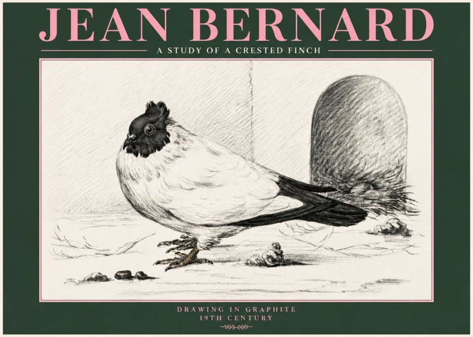 Jean Bernard A Study of a Crested Finch No3 - Plakát