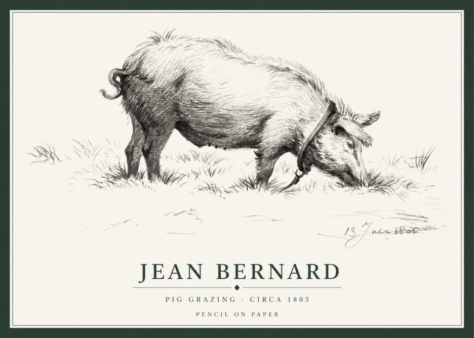 Jean Bernard Pig Grazing No1 - Plakát