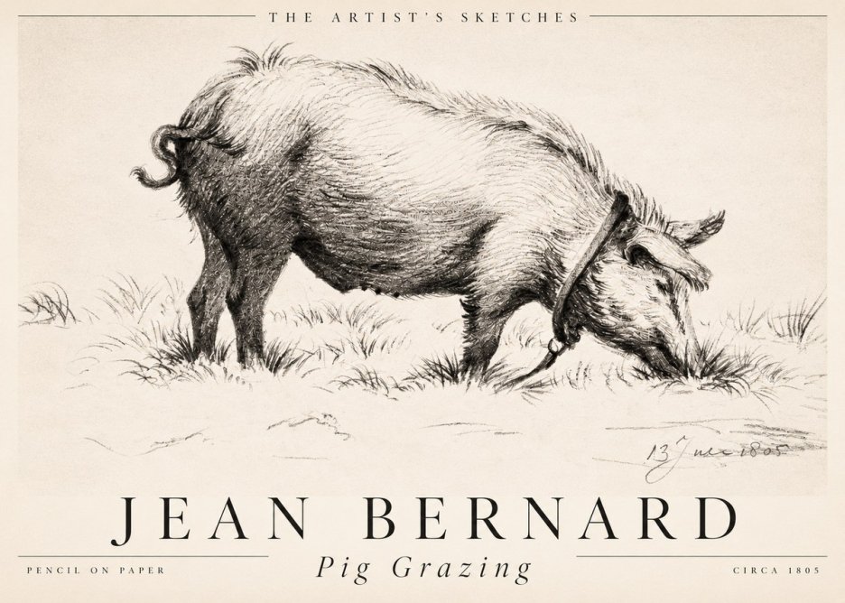 Jean Bernard Pig Grazing No2 - Plakát