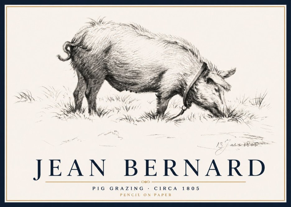 Jean Bernard Pig Grazing No5 - Plakát