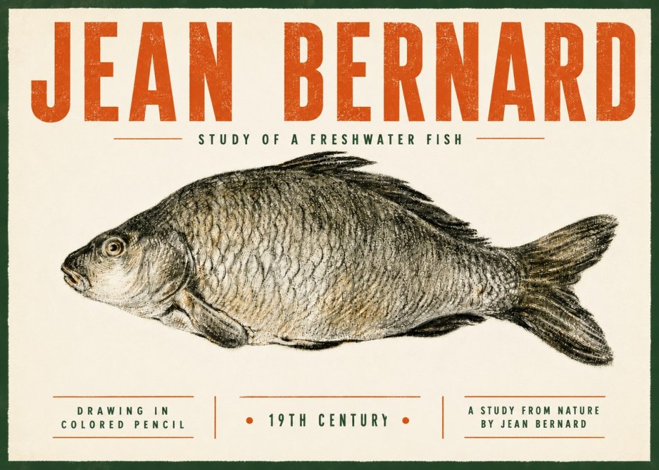 Jean Bernard Study of a Freshwater Fish No5 - Plakát