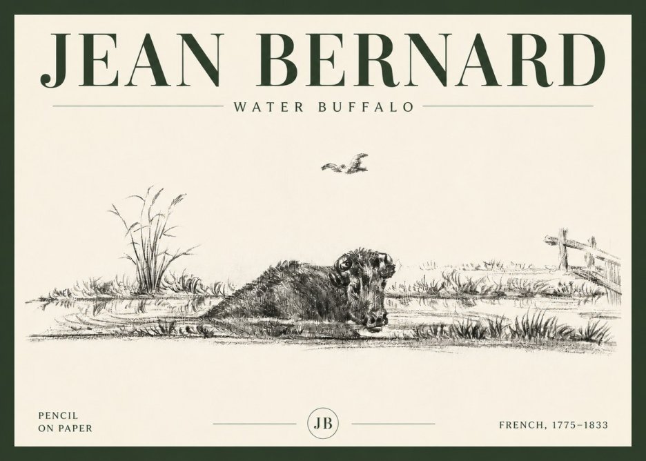 Jean Bernard Study of a Water Buffalo No6 - Plakát