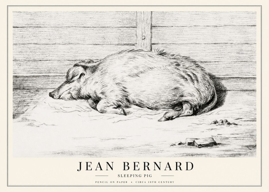 Jean Bernard Sleeping Pig I No1 - Plakát