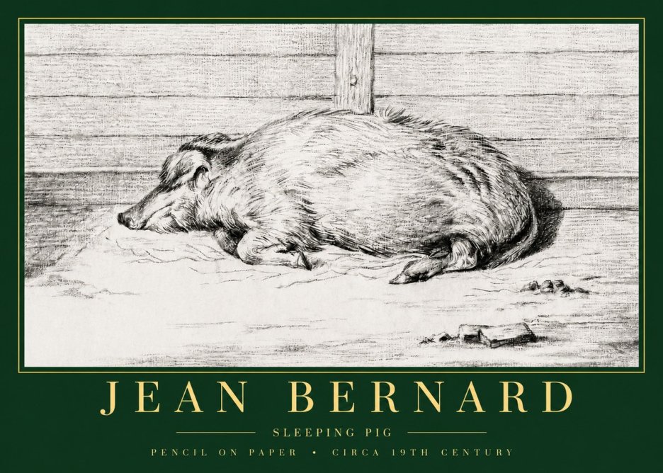 Jean Bernard Sleeping Pig I No3 - Plakát