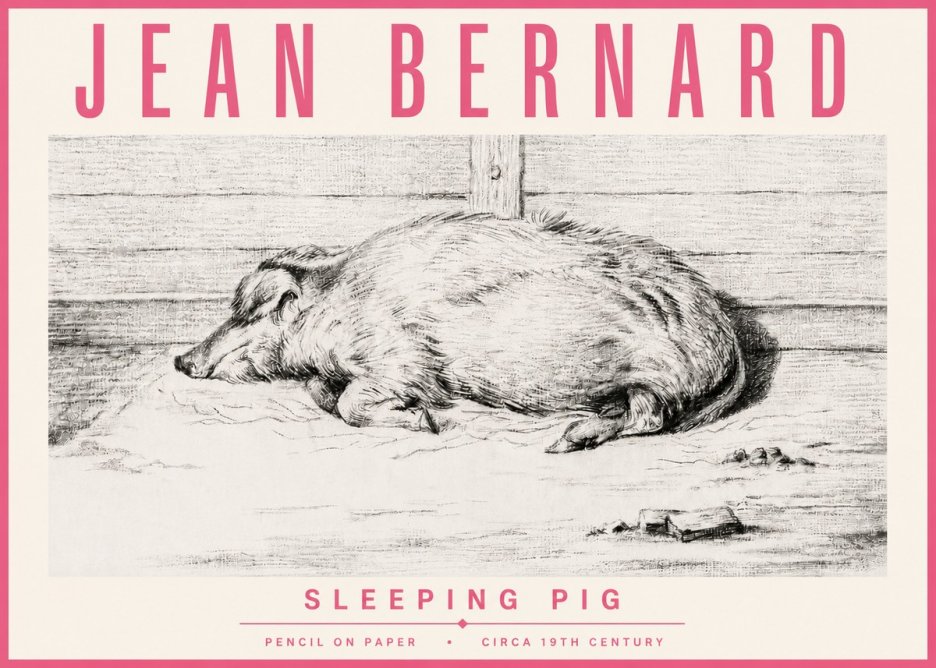Jean Bernard Sleeping Pig I No4 - Plakát