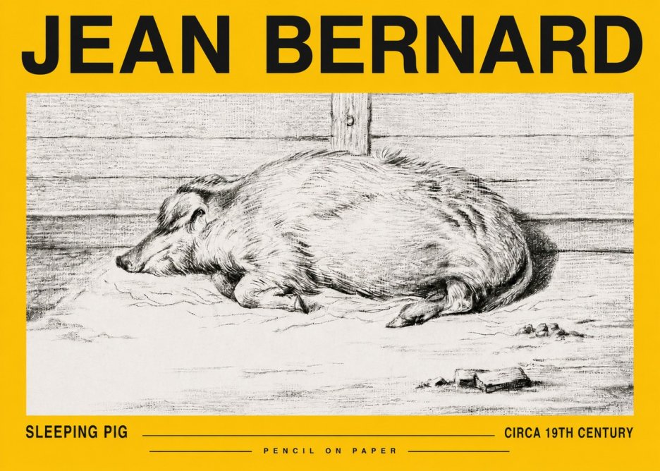 Jean Bernard Sleeping Pig I No5 - Plakát