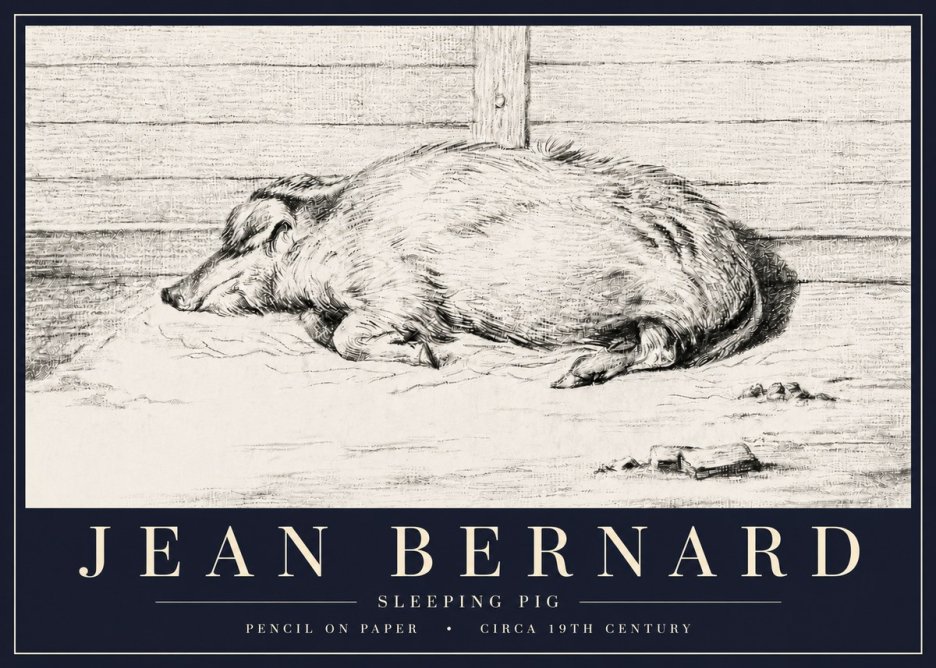 Jean Bernard Sleeping Pig I No6 - Plakát