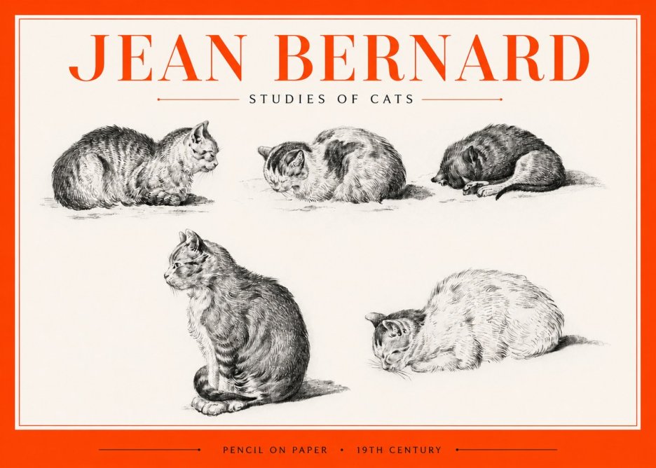 Jean Bernard Studies of Cats No2 - Plakát