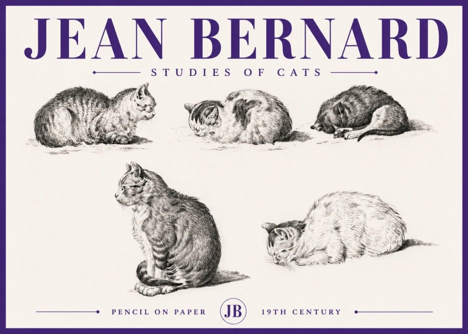 Jean Bernard Studies of Cats No5 - Plakát