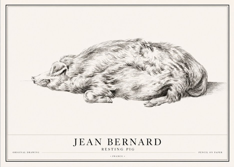 Jean Bernard Resting Pig II No1 - Plakát