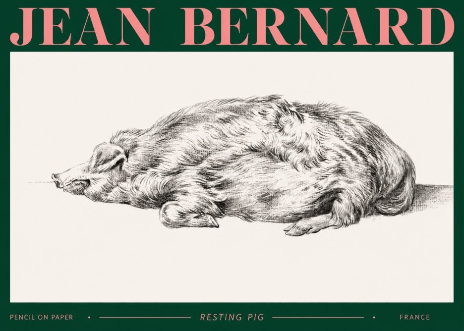 Jean Bernard Resting Pig II No2 - Plakát
